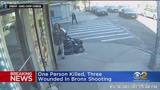 1 person in custody after deadly shooting in the Bronx