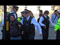 Police Chief Inspector makes an arrest outside Downing Street