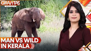 Man Vs Wild In Kerala: Elephant Seen Lifting A Man And Swinging In The Air | GRAVITAS | WION