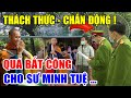 NÓNG: HỌ ĐÃ NÓI GÌ Những Thách Thức SƯ MINH TUỆ Phải Đối Mặt Ngay Lúc Này | Thiền Sư Minh Tuệ