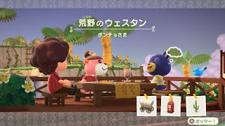 【あつ森】ポンチョさま～荒野のウェスタン～【ハッピーホームパラダイス】