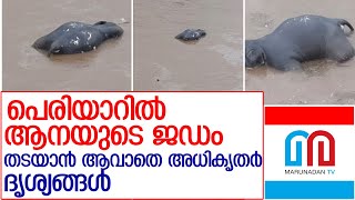 പെരിയാറില്‍ ആനയുടെ ജഡം കണ്ടെത്തി l Elephant dead body in Periyar river