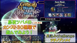 【アナザーエデン】星詠みの書架challenge　ツチノブンメイ　鳥夜ツバメのカンスト30連撃で遊んでみよう！　スコア22億　【アナデン】【スコアタ】2部中編