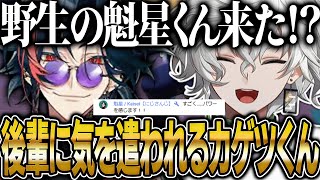 突然コメ欄に現れた魁星くんにあつ森の街を紹介する叢雲カゲツ【にじさんじ 切り抜き 新人 叢雲カゲツ 魁星 雑談】