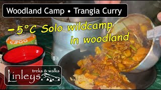 Trangia cooking a Curry • Woodland Camping UK • Stealth Camping in -5C