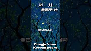 #서 시 #윤동주 #좋은詩 #좋은글 #영상詩 #Dongju Yoon #Korean poem