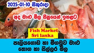 2025.01.10 | අද මාළු මිල ඉහළට | Peliyagoda and Negombo Fish Price Today | Ada malu mila