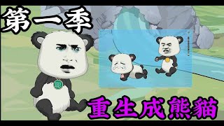 沙雕動畫合集 | 【重生成熊貓】一口氣看完 |变成大熊猫是种什么样的体验 ! #沙雕動畫 #沙雕动画