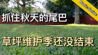 秋季的草坪维护 - 一年里最重要的收尾工作 - Take care of your lawn in fall | KK和Kathy 的后花园