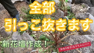 【多肉植物】【ガーデニング】もう一つの花壇⁉️    多肉大好き！なりちゃんパパ　多肉奮闘記その111