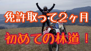 2輪免許取り立てが林道走行  愛媛県神南山