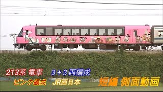 JR西日本　213系　桃太郎ピンク色　３+３両編成　短編側面動画