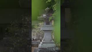 【隠れ観光スポット - 宮城県】宮城縣護國神社 | 浦安宮 #shorts