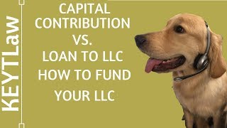 Capital Contribution vs. Loan to LLC - How to Fund Your LLC (2024)