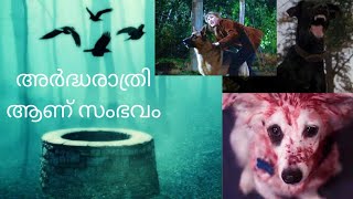 അർദ്ധരാത്രി ശബ്ദം കേട്ട് പുറത്തിറങ്ങാൻ പേടിയായി നേരം വെളുത്തപ്പോൾ ദുഃഖം തോന്നിയ നിമിഷം