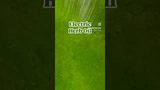 Easy Recipe| Electric Herb Oil #howtocook#easyrecipe recipe #viral #yummyfood#homemade