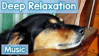 15 Hours of Deep Relaxation Music for Dogs! Music to Relax Your Dog Completely a