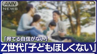 Z世代の約5割が「子どもがほしくない」(2023年2月26日)