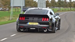 BEST OF FORD MUSTANG SOUNDS! Shelby GT500, Alphamale Widebody, GT350, RTR Widebo