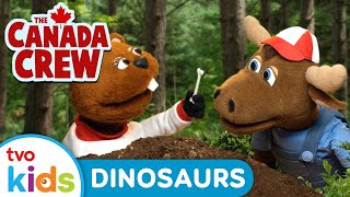 Dinosaurs 🦖 | 🫎 CANADA CREW 🦫 | 📚 Learn About Canada \u0026 Canadians: Palaeontology 🇨🇦 | TVOkids