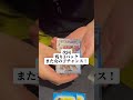 1パック3 000円のポケカオリパでシロナを狙って開封！！夢のシロナゲットできるのか🥹🥹残りは次回の動画で！ ポケモンカード ポケカ オリパ オリパ開封