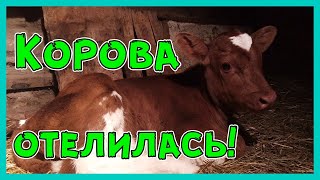 Мила родила! Ура товарищи!