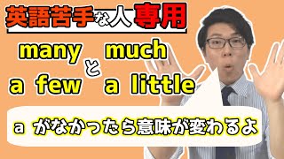 【中学英語】不可算名詞と可算名詞～many muchの違い～ 1-4【中１英語】