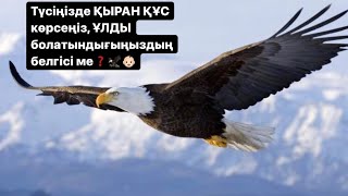 Мұсылманша ТҮС ЖОРУ. Егер түсіңізде ҚЫРАН ҚҰСТЫ көрсеңіз...