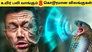 மிகவும் பயங்கரமான கொடூரமான விலங்குகள் || Eight Amazing Animals || Galatta Info Tamil