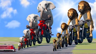 Big \u0026 Small Elephant on a motorcycle vs Big \u0026 Small Lion on a motorcycle vs Train | BeamNG.Drive