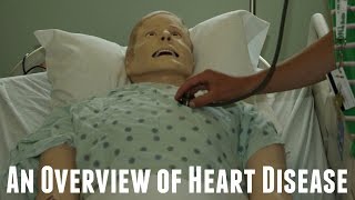 An Overview of Heart Disease