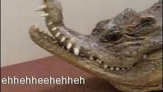 🐟 STRANGE MEMES 46 🐟
