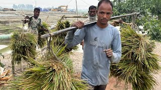 Jagannatpur to Raniganj