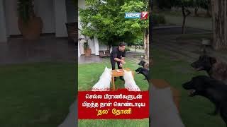 செல்ல பிராணிகளுடன் பிறந்த நாள் கொண்டாடிய தல தோனி #msdhoni #msd #pets