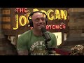 joe rogan experience 1945 eric weinstein