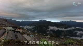 20250115 南投花鳥蟲鳴高山露營區 超美雲海縮時棉花糖吃到飽