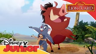 The Lion Guard - 'Don't Make a Stink' Music Video | Official Disney Junior Africa