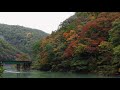 【紅葉とワイドビューひだ！】飛騨北部の紅葉と高山本線！彩度をいじっちゃいました！