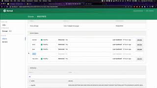 Mixing Containerized and Non containerized Workloads with Services and Batch Jobs in Nomad