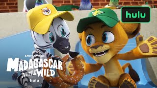 Madagascar: A Little Wild (Official Trailer) | Hulu