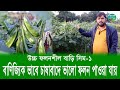 বাণিজ্যিক ভাবে চাষাবাদে উচ্চ ফলনশীল বাড়ি সিম-১ | Sim | সবুজ কৃষি | Green Agriculture