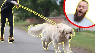 How To STOP Your Dog Pulling On The Leash - EXTREME TRANSFORMATION