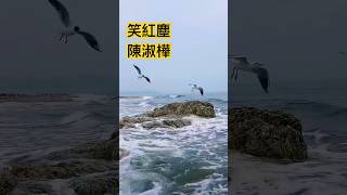 陳淑樺 名曲「笑紅塵」❤️💯🌹🎆👍