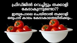 തക്കാളി ഒരുപാട് ദിവസം കേടാകാതെ സൂക്ഷിക്കാൻ|Best Method to Store tomatoes for long