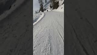 Rodelen in Ramsau am Dachstein