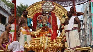 Sri Padmavathi ammavari surya prabha vahanam 2024