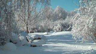 Senftenberger See - Winterzauber (HD)