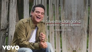 Silvestre Dangond, Juancho De La Espriella - Habla Con Ella (Cover Audio)