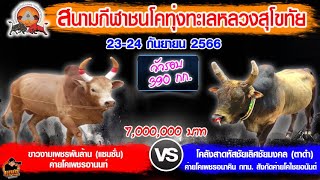 ความพร้อมก่อนแข่งขัน แซมซั่น vs ตาดำ