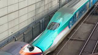 JR東日本E5系仙セシU6編成Magical Journey Shinkansenラッピングトレイン東北新幹線やまびこ142号+E3系2000番台幹カタL69編成山形新幹線つばさ142号東京行き